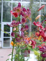 Foto: Dr. Peter Müller